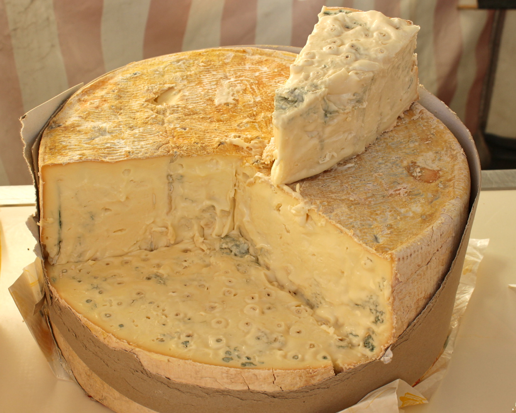 GORGONZOLA