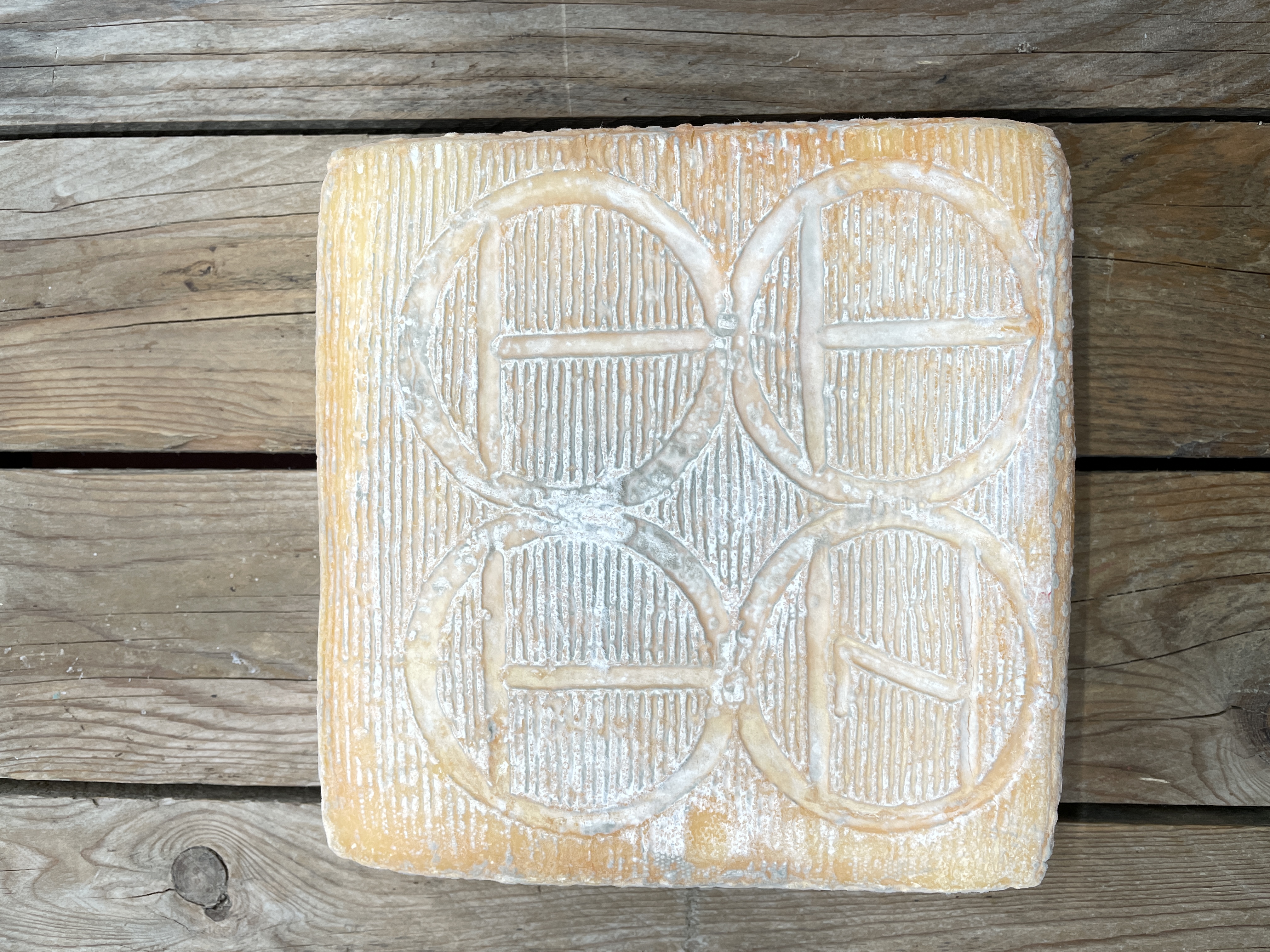 Taleggio kaufen-Käse Somann