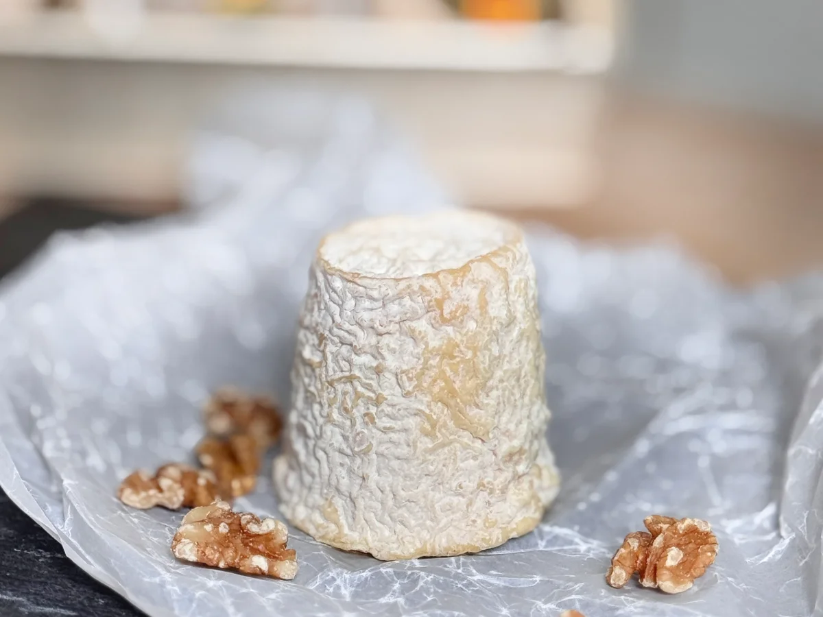 Chabichou-französicher Ziegenweichkäse