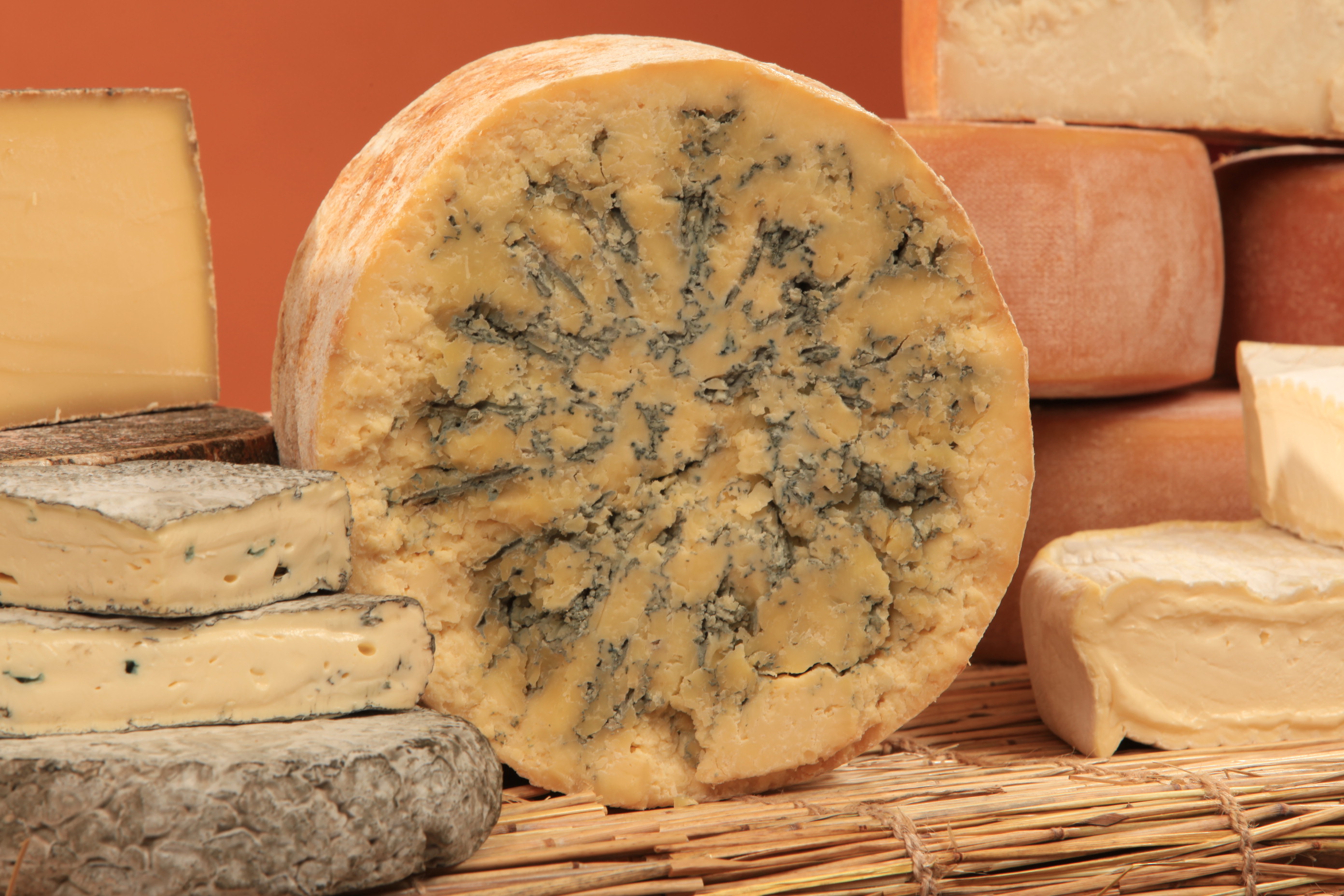 BLUE STILTON BLUE STILTON