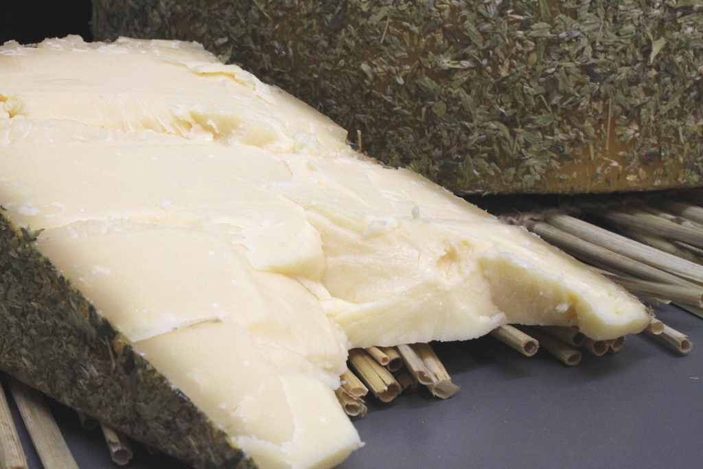 Liebstöckelkäse
