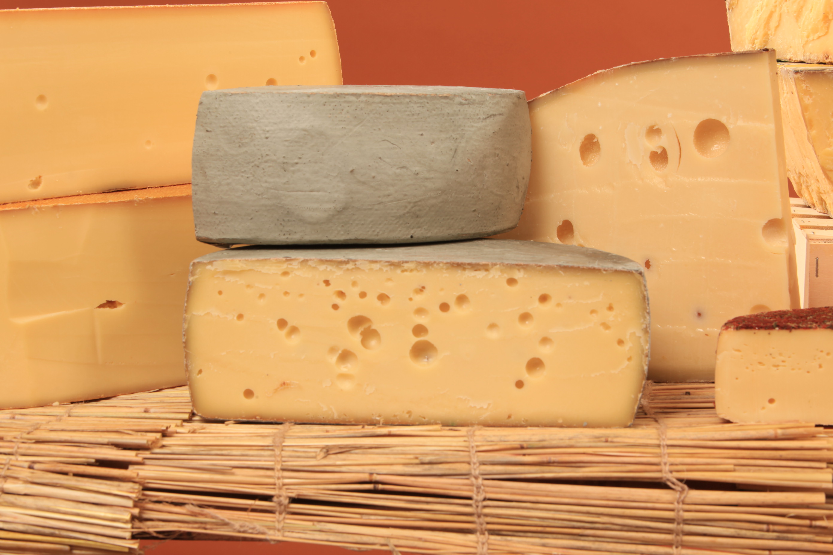 BIO-Steinsalzkäse BIO-Steinsalzkäse