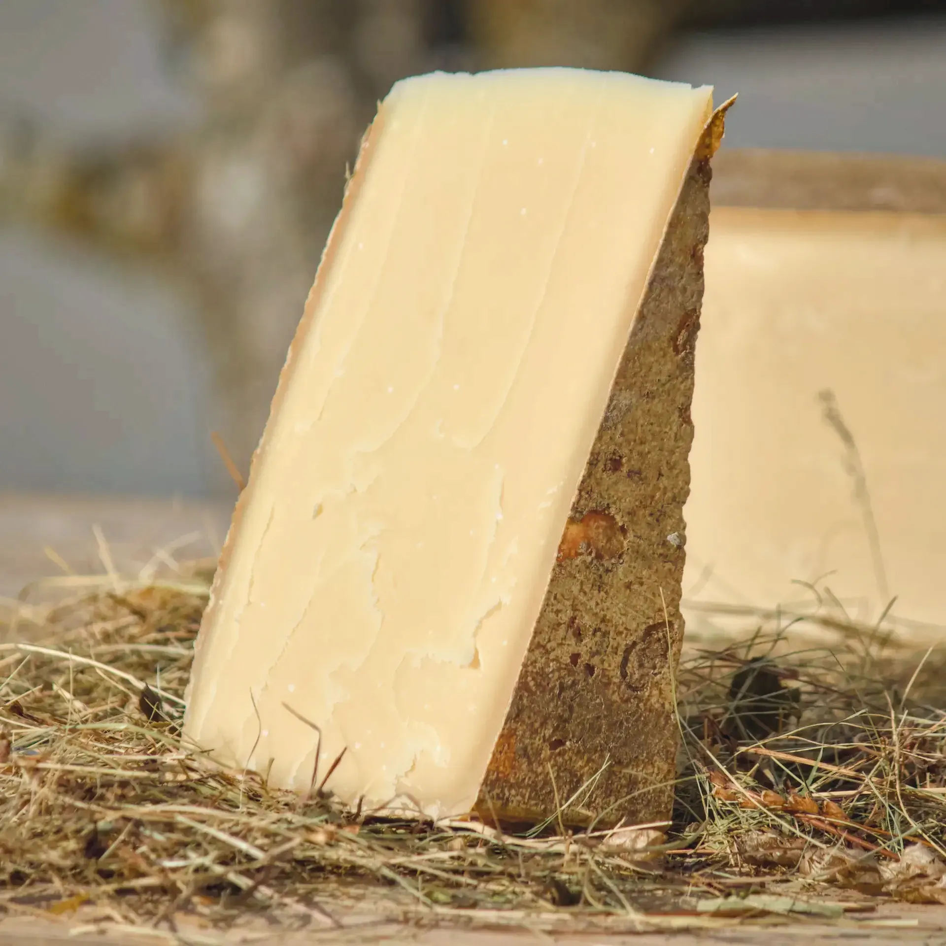 Hinkelstein Käse-Schweiz